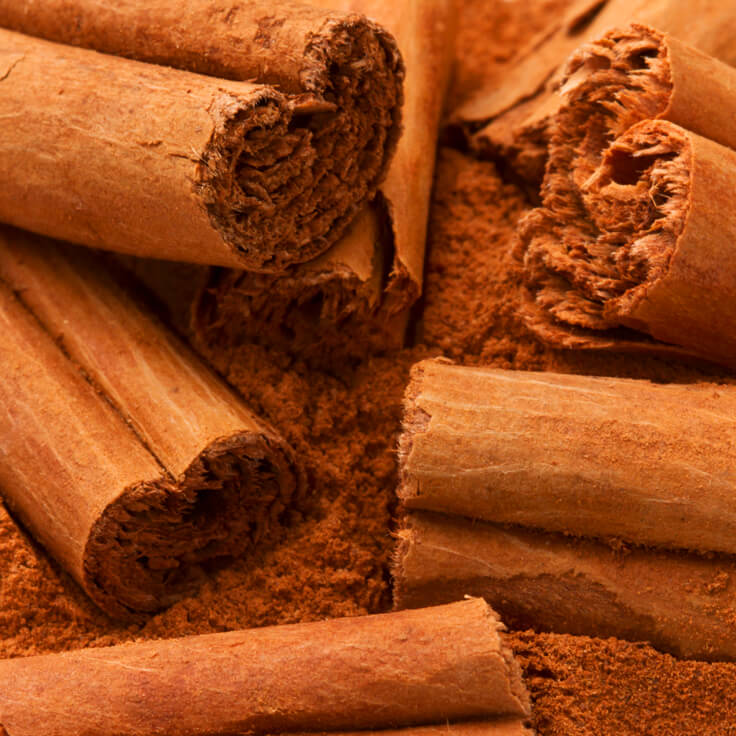 Essential Oil - Cinnamon Bark