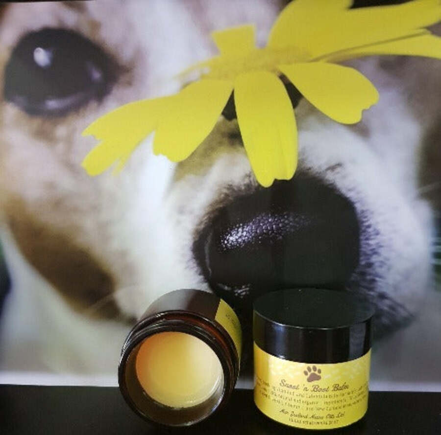 Snoot 'n Boot Balm for Dogs