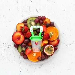 Munch Baby Feeder/Teether