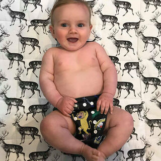 Little Genie Reusable Pocket Nappy