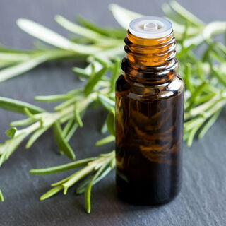 Essential Oil - Rosemary