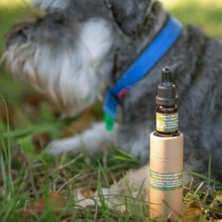 NZ Native Oils Flea Protection For Dogs